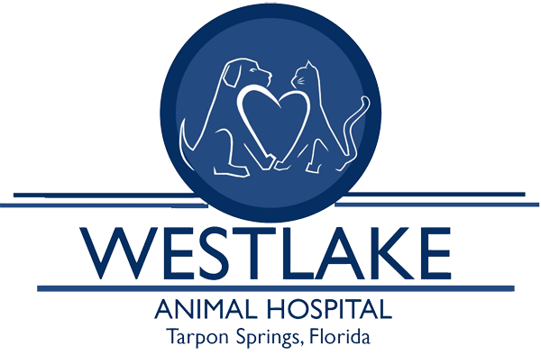 Westlake Animal Hospital - Tarpon Springs, FL - Home